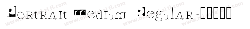 Portrait Medium Regular字体转换